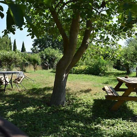 Mobil-Home Sur Terrain Bucolique Hyères Exteriör bild