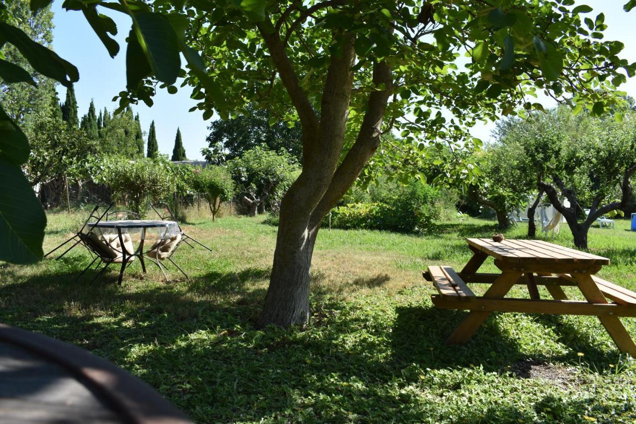 Mobil-Home Sur Terrain Bucolique Hyères Exteriör bild